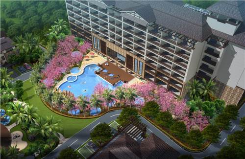 一只鲍鲍汁焖鸡