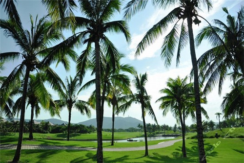 么小鲜在青岛特色海鲜