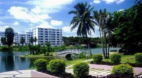 滁州奶茶店太多