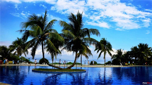 桃李巷加盟费多少