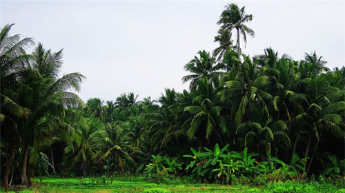 加盟宏来汽车美容开店什么地段好，投资一家汽车美容店最低多少钱