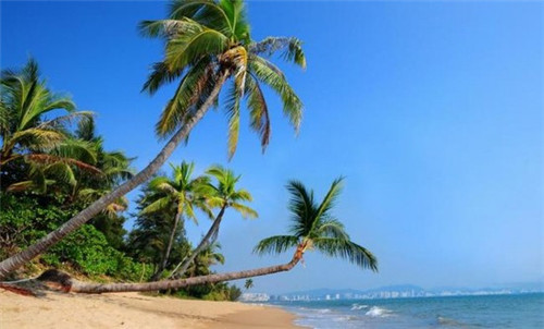 原子灰加盟投资开店什么品牌风险低，原子灰厂家直销